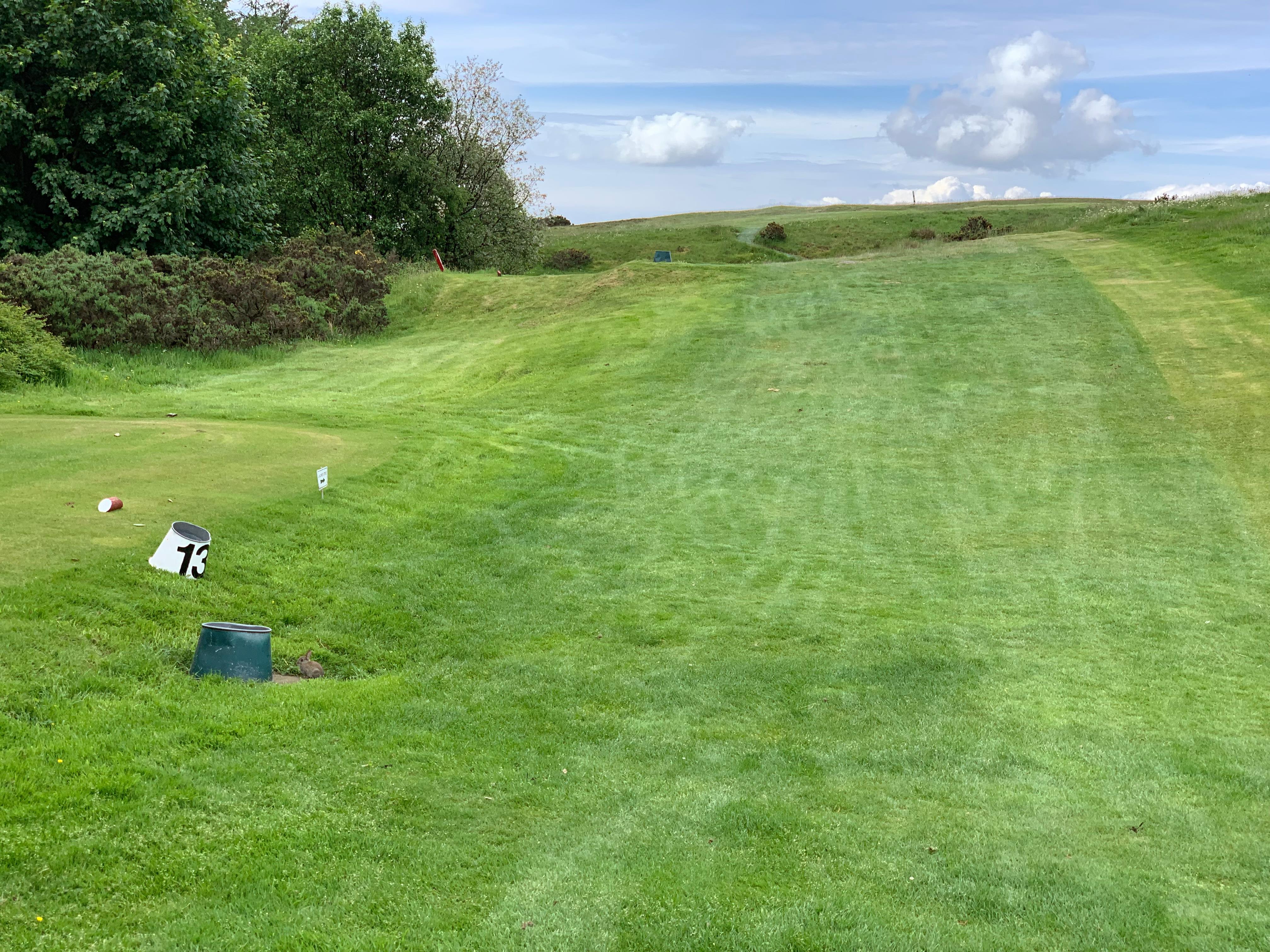 Hole 4 — view from the tee